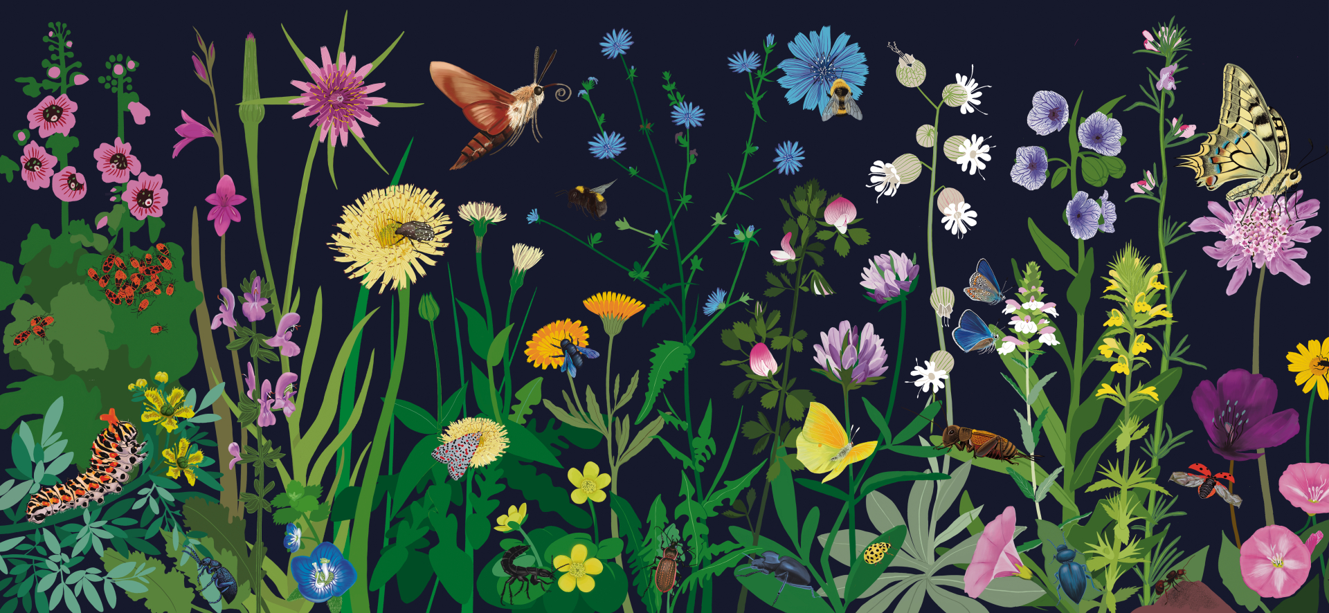 Primavera